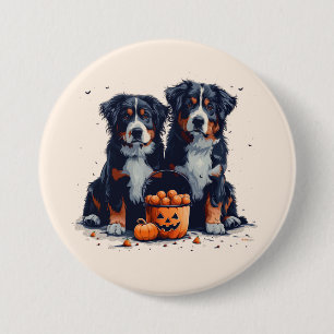 Halloween Bernese Mountain Dogs Pumpkin 3 Inch Round Button