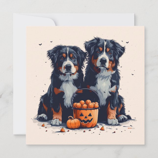 Halloween Bernese Mountain Dogs Pumpkin Invitation (Front)