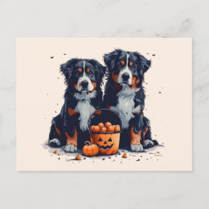 Halloween Bernese Mountain Dogs Pumpkin Postcard
