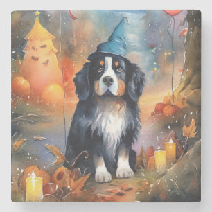Halloween Bernese Mountain With Pumpkins Scary Stone Coaster