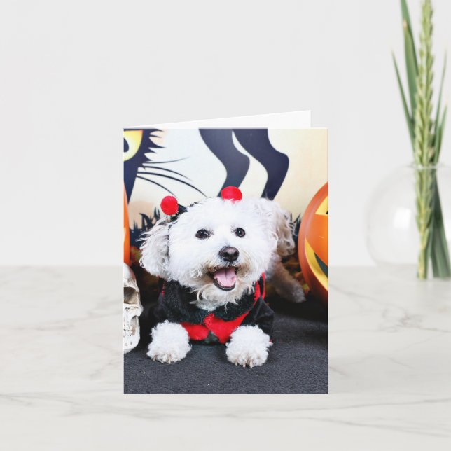 Halloween - Bichon Frise - Andi Card (Front)