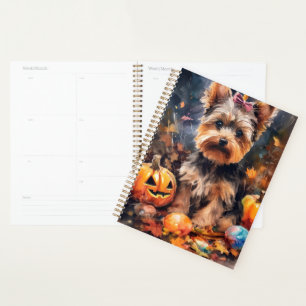 Halloween Biewer Terrier Avec La Peur Citrouille