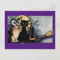 Halloween Black Cat and Owl