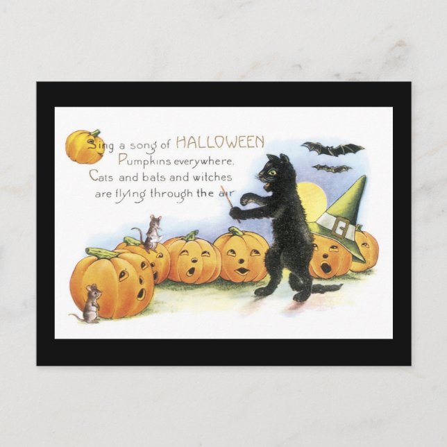 Halloween Black Cat and Pumpkin Postcard (Front)