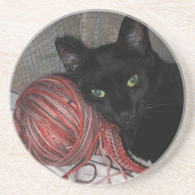 Halloween Black Cat Coaster (Front)
