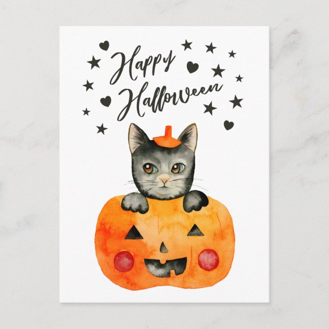 Halloween Black Cat in Jack O' Lantern Holiday Postcard (Front)