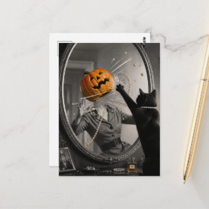 Halloween Black Cat Knocks Out Jack-o-Lantern Lady Postcard