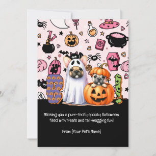 Halloween Black Cat Pet Greeting Holiday Card