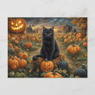 Halloween Black Cat Pumpkin Patch Cute Holiday Postcard