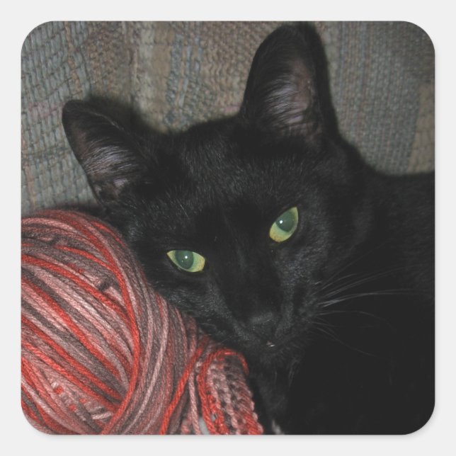 Halloween Black Cat Square Sticker (Front)