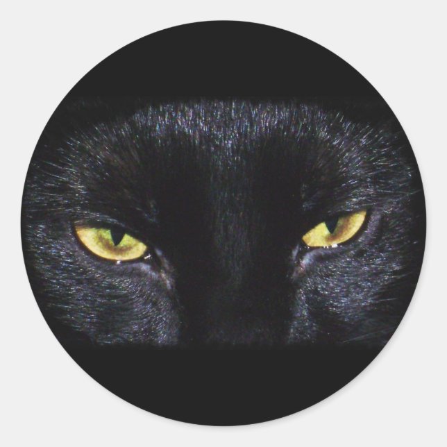 Halloween Black Cat Sticker (Front)