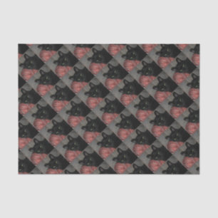 Halloween Black Cat Tissue Paper