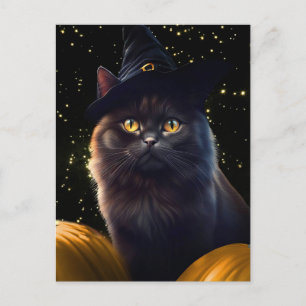 Halloween Black Cat Witch Hat And Pumpkins Holiday Postcard