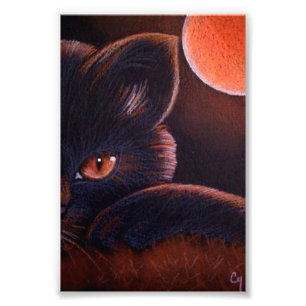 HALLOWEEN BLACK CAT WITH ORANGE MOON 4" X 6" PRINT