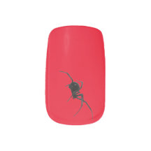 Halloween black widow spider on a red background