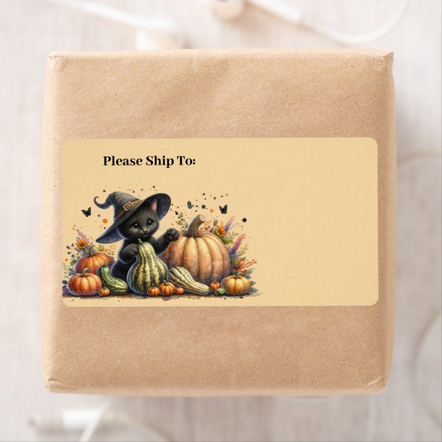 Halloween Black Witch's Kitten W/ Pumpkins Gourds (Insitu)