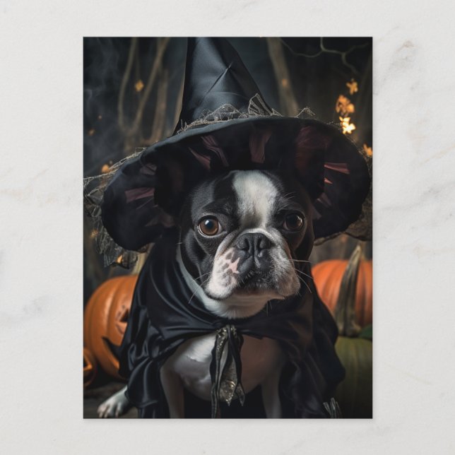 Halloween Boston Terrier Dog Postcard (Front)
