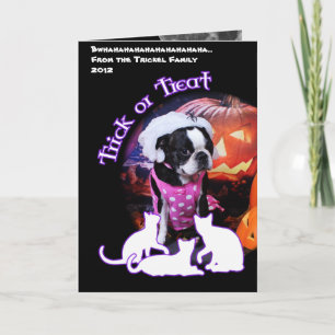 Halloween - Boston Terrier - Georgia Card