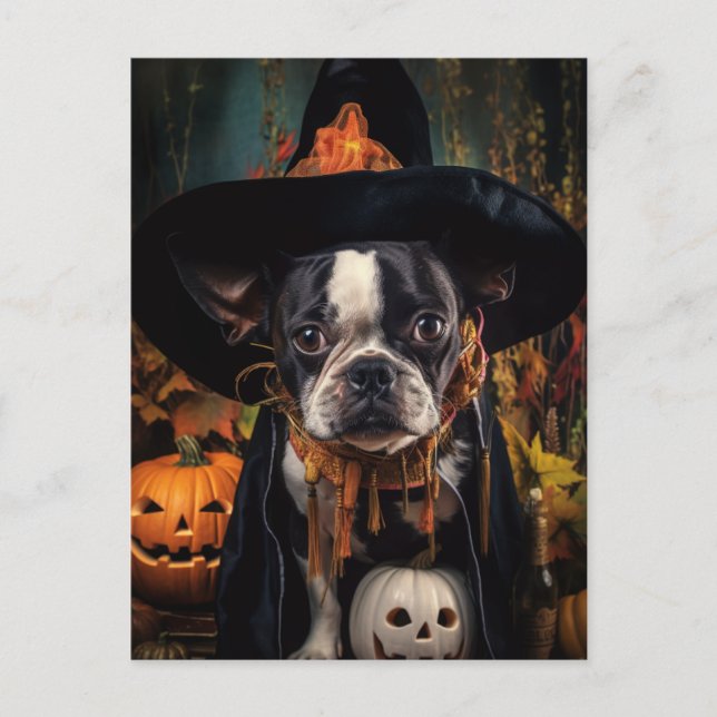Halloween Boston Terrier Postcard (Front)