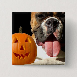 Halloween Boxer button