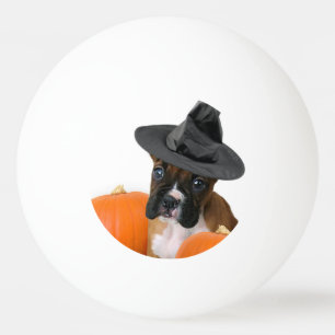 Halloween boxer puppy ping pong ball