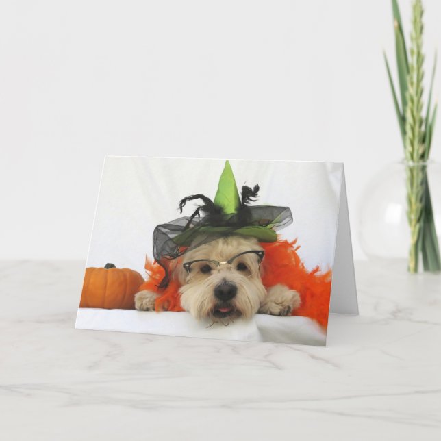 halloween card, humour, dog cute, witch,pumpkin, card (Front)
