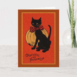Halloween Cat and Pumpkin Card