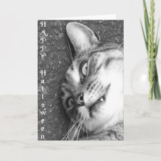 Halloween cat card