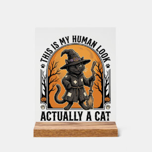Halloween Cat Costume Funny Vintage Witch Cat Shir Acrylic Sign