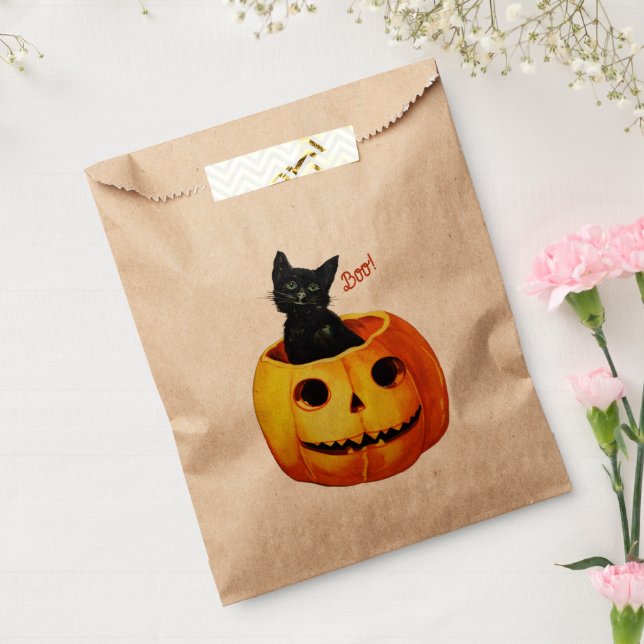 Halloween Cat in Pumpkin Favour Bag (Sealed)