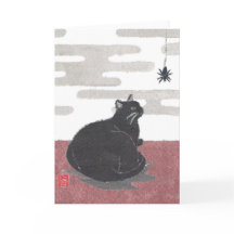 Halloween, Cat, Spider