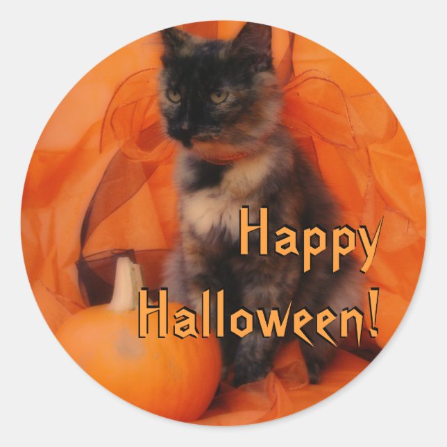 Halloween Cat Stickers (Front)
