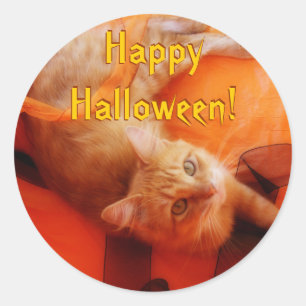 Halloween Cat Stickers