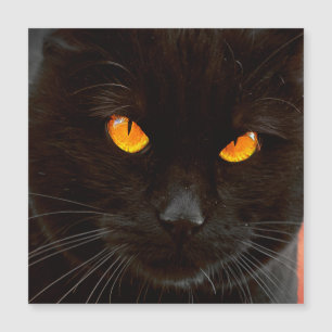 Halloween Cat's Face