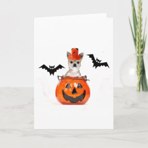 Halloween Chihuahua Dog Card