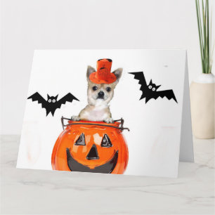 Halloween Chihuahua dog Card