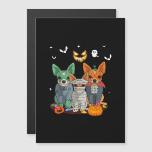 Halloween Chihuahua Dog Witch Cute Gift Dachshund Magnetic Invitation