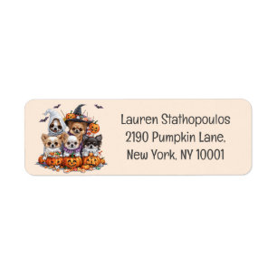 Halloween Chihuahua Dogs