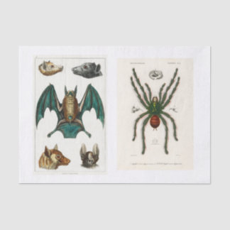 Halloween collection decoupage tissue paper