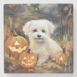 Halloween Coton De Tulear With Pumpkins Scary Stone Coaster