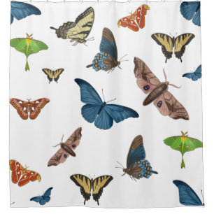 halloween creepy moth print