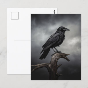 Halloween Crow  Postcard