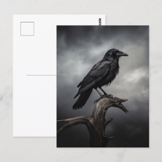 Halloween Crow Postcard