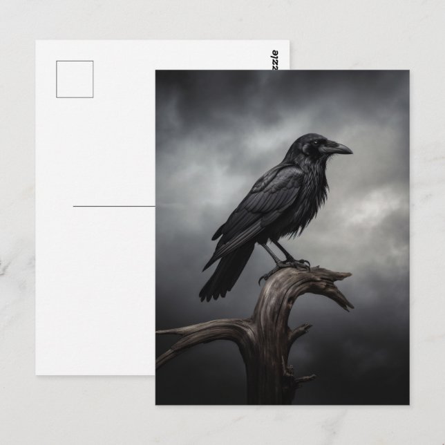 Halloween Crow  Postcard (Front/Back)