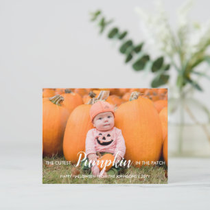 Halloween Cutest Pumpkin in the Patch Holiday Postcard
