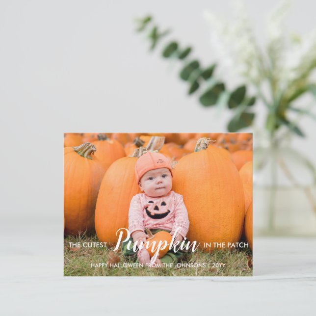 Halloween Cutest Pumpkin in the Patch Holiday Postcard (Standing Front)