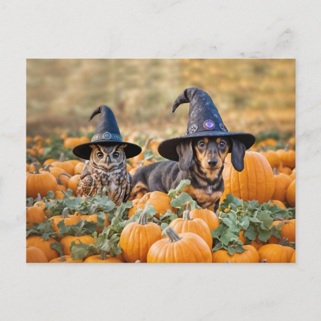 Halloween Dachshund and Owl Funny Holiday Postcard (Front)