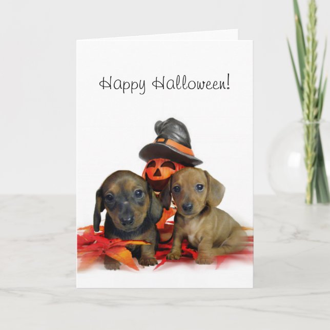 Halloween Dachshund puppies Card (Front)