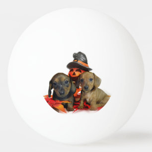 Halloween Dachshund puppies Ping Pong Ball