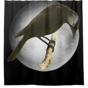 Halloween Decor-The Moon Raven